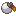 Any apricorn