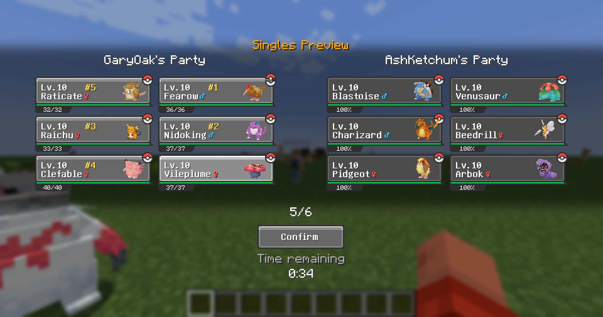 The preview screen